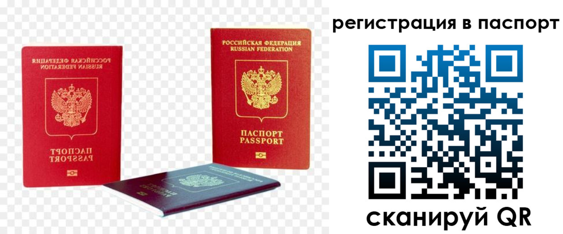 временная регистрация поиск в Цимлянске